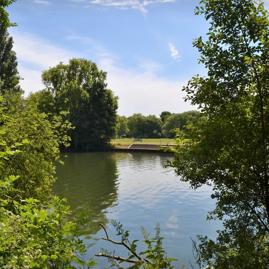 View Island Wildlife