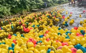 Reading Riverside Duckrace